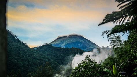 things to do in digos city|12 Best Things To Do In Digos City: Sweet Mangoes And More .